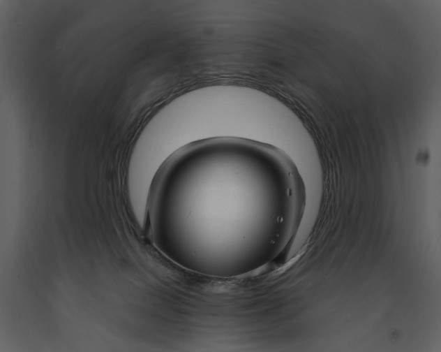 X0000090960086200708241202