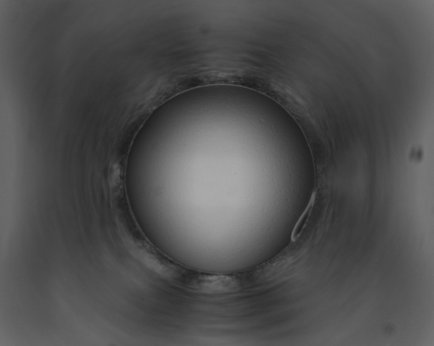 X0000090960087200708241202