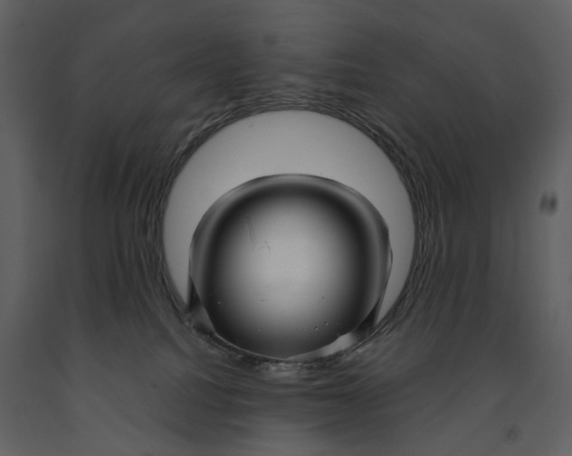 X0000090960088200708241202