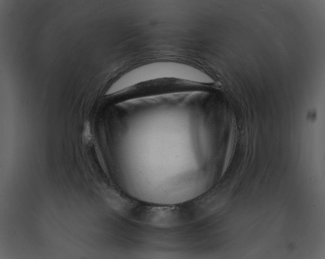 X0000090960089200708241203