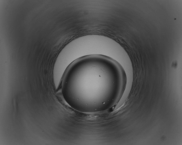 X0000090960090200708241203