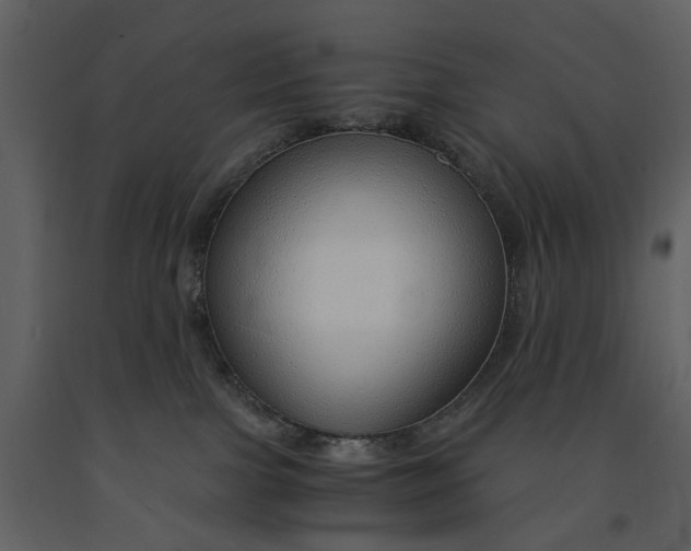 X0000090960091200708241203