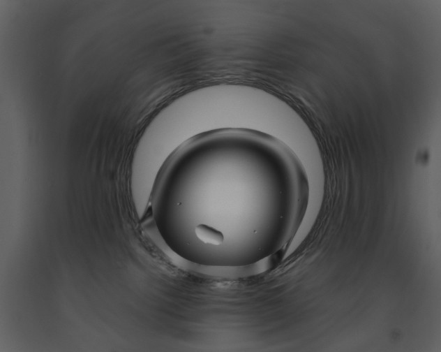 X0000090960092200708241203