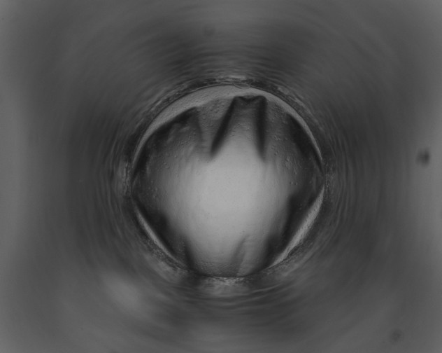 X0000090960093200708241203