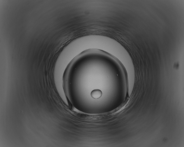 X0000090960094200708241203