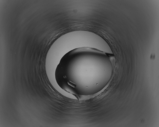 X0000090960096200708241203