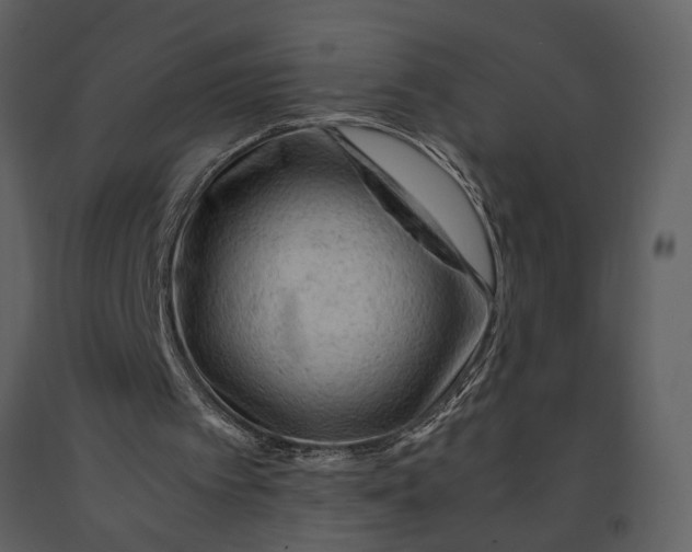 X0000090960097200708241202