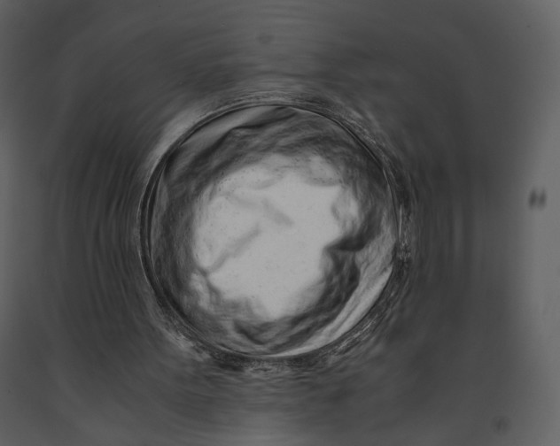 X0000090960099200708241202