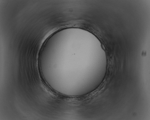 X0000090960100200708241202