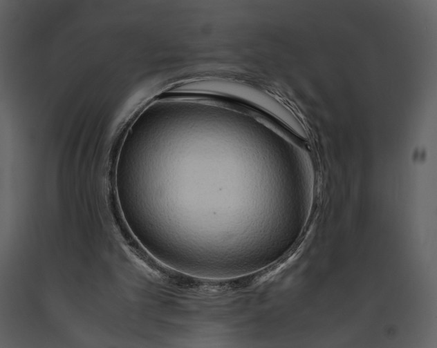 X0000090960101200708241202