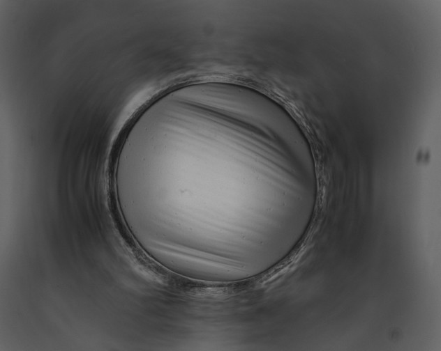 X0000090960102200708241202