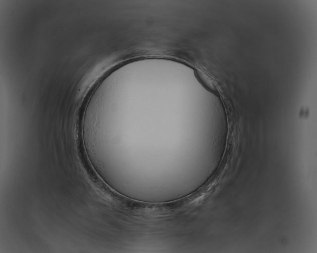 X0000090960103200708241202