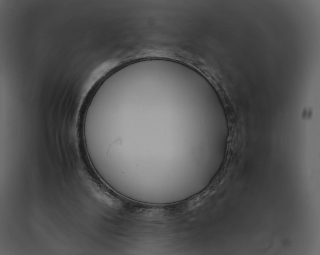 X0000090960104200708241202