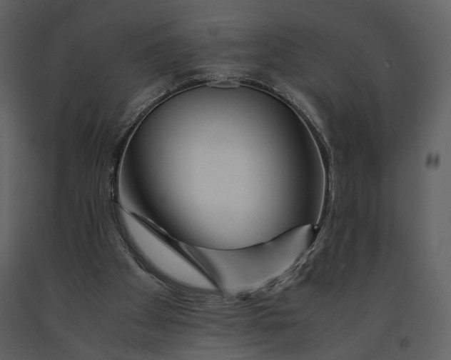 X0000090960105200708241202