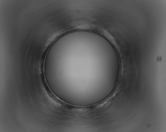 X0000090960106200708241202