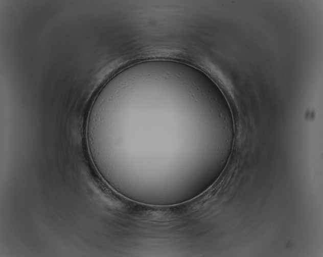 X0000090960107200708241202