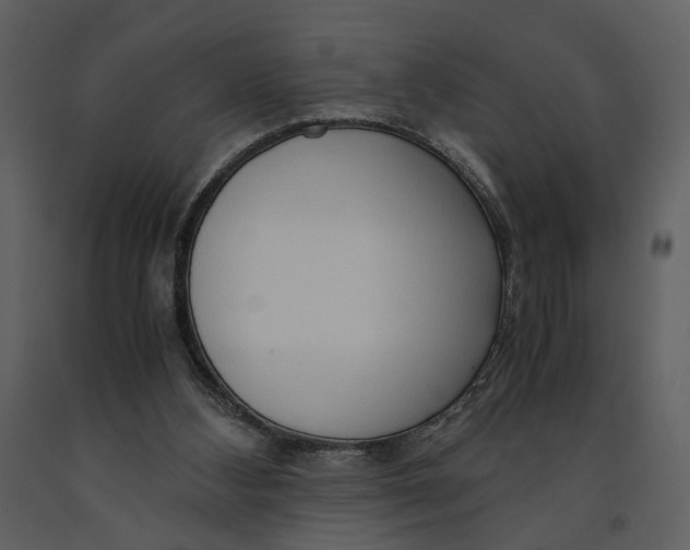 X0000090960108200708241202