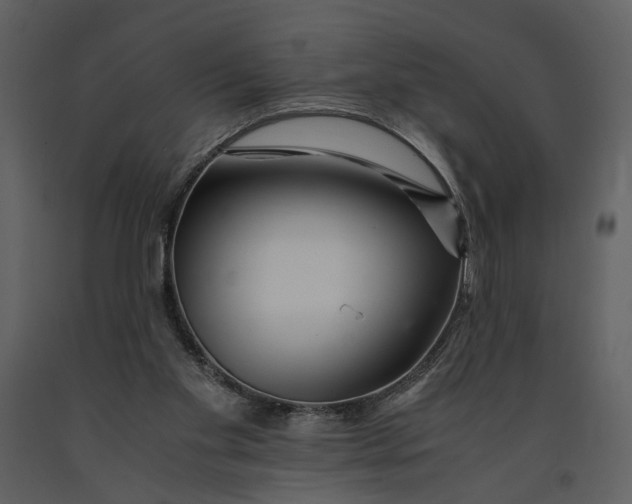 X0000090960109200708241202