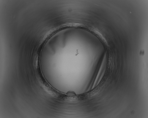 X0000090960110200708241202