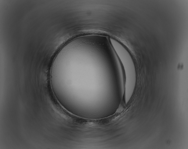 X0000090960111200708241202