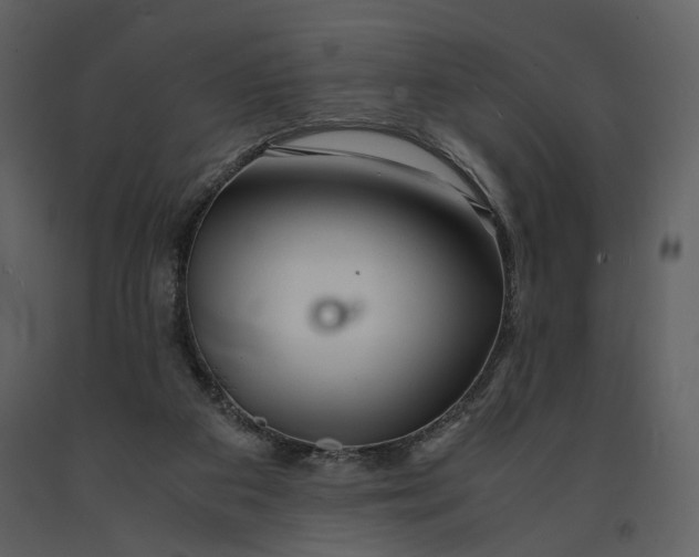 X0000090960113200708241202