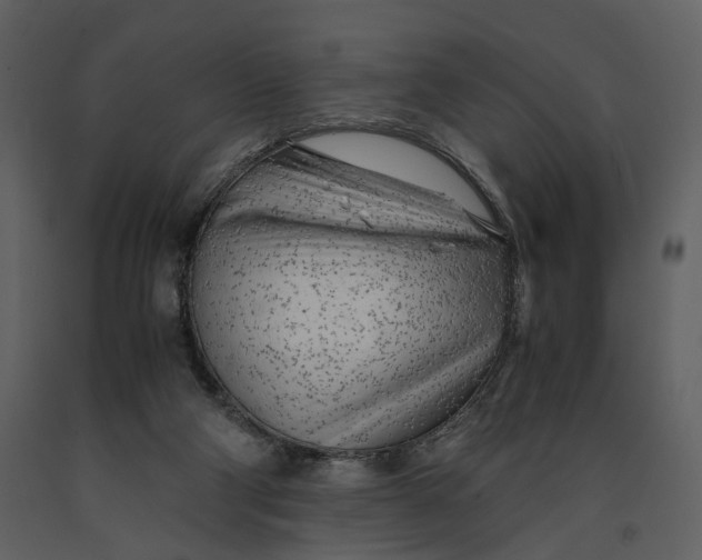 X0000090960114200708241202