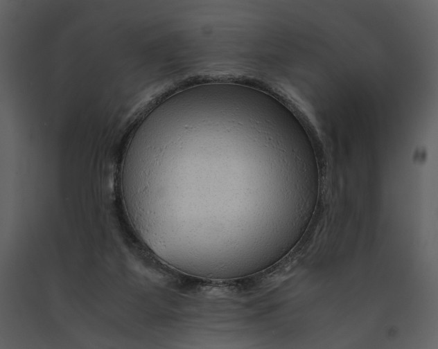 X0000090960115200708241202