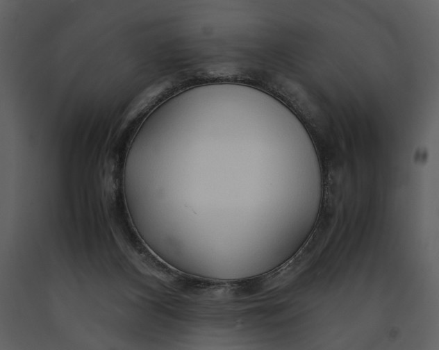 X0000090960116200708241202