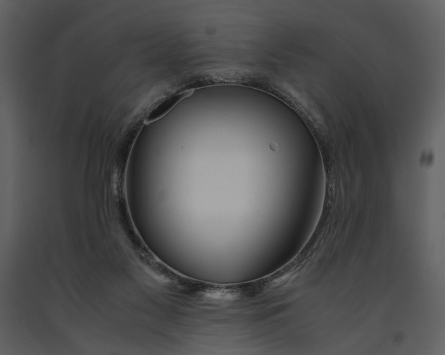 X0000090960117200708241201