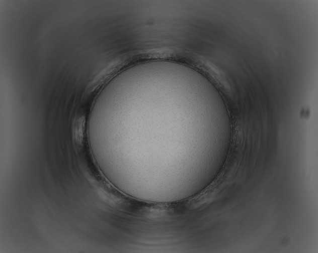 X0000090960118200708241201