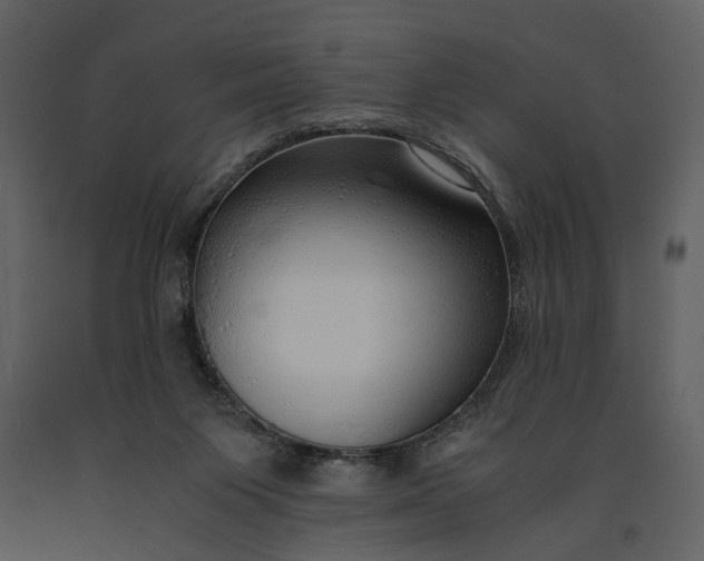 X0000090960119200708241201