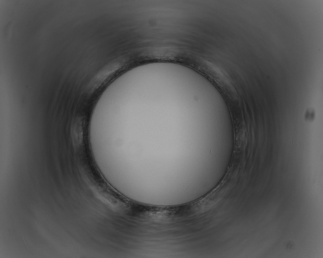 X0000090960120200708241201