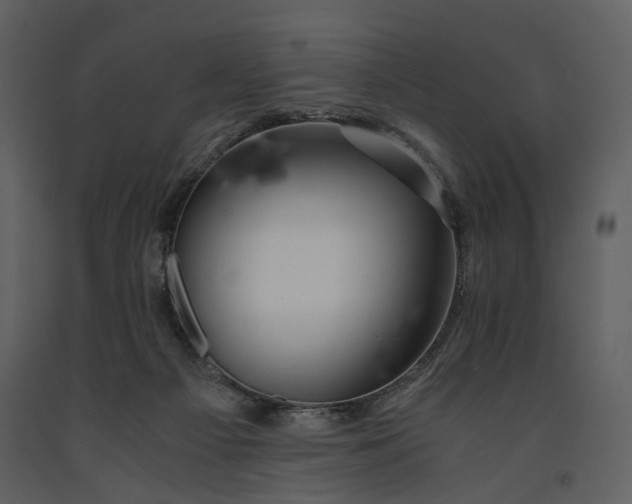 X0000090960121200708241201