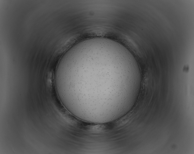 X0000090960122200708241201