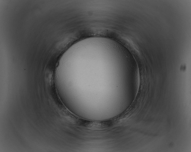 X0000090960123200708241201