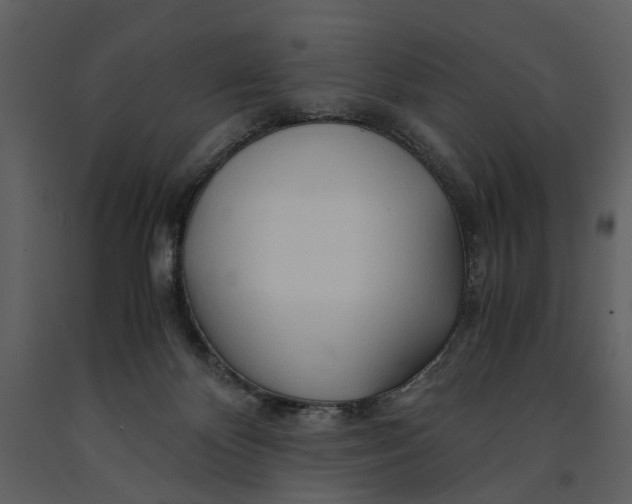 X0000090960124200708241201