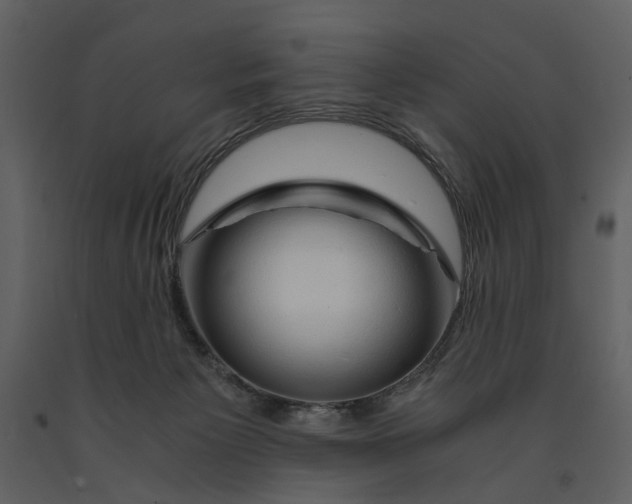 X0000090960125200708241201