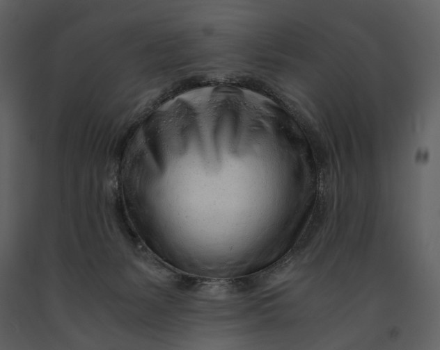 X0000090960127200708241201