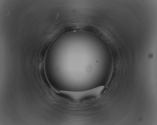 X0000090960129200708241201