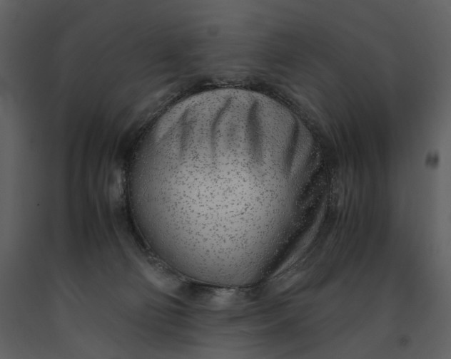 X0000090960130200708241201