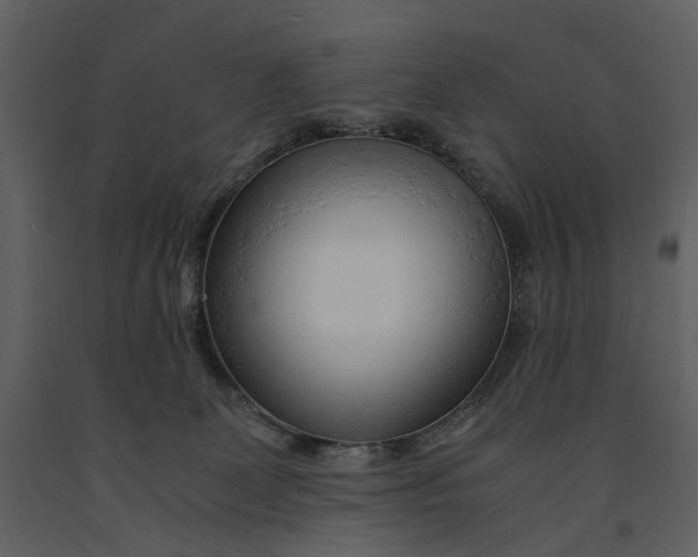 X0000090960131200708241201