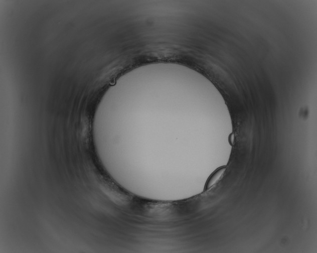 X0000090960132200708241201