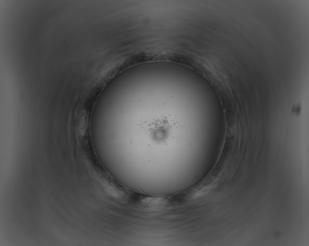 X0000090960133200708241201