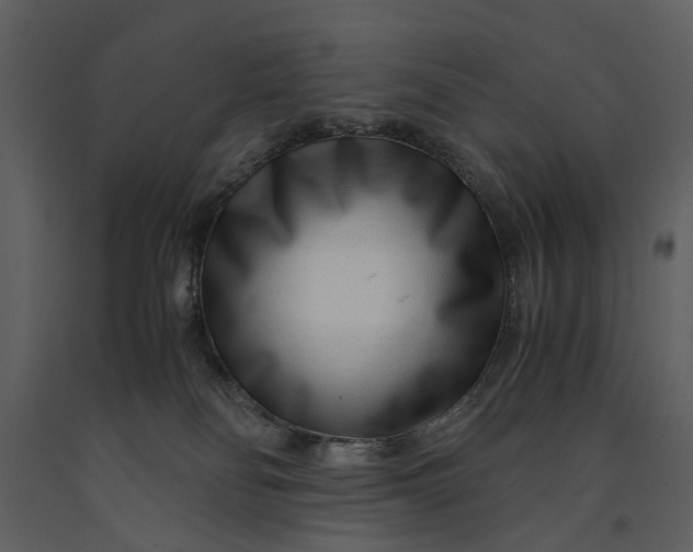 X0000090960134200708241201