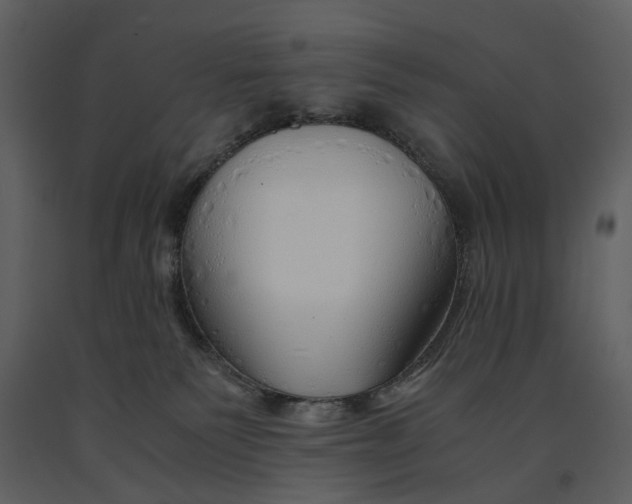 X0000090960135200708241201