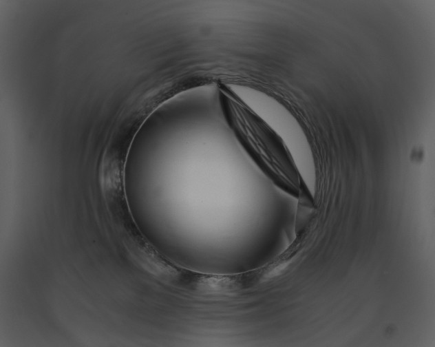 X0000090960137200708241201