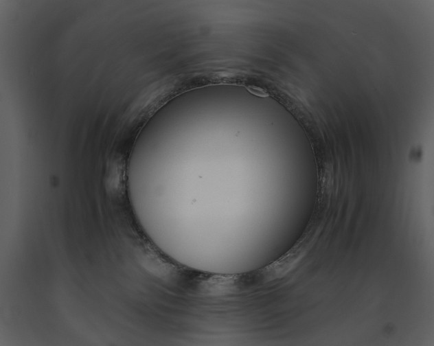 X0000090960138200708241201