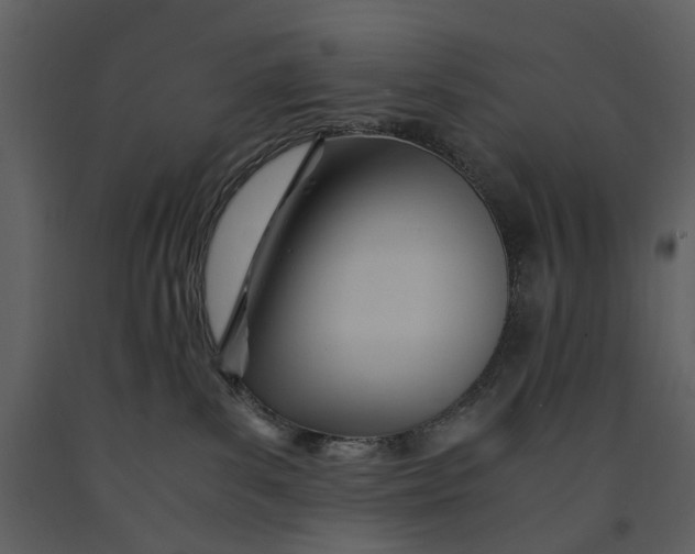 X0000090960139200708241201