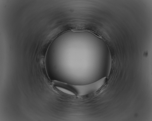 X0000090960141200708241201