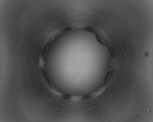 X0000090960143200708241201